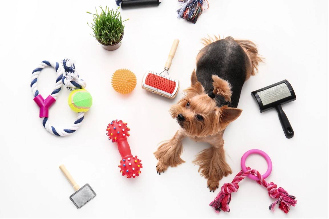 Accessori per viaggiare col cane