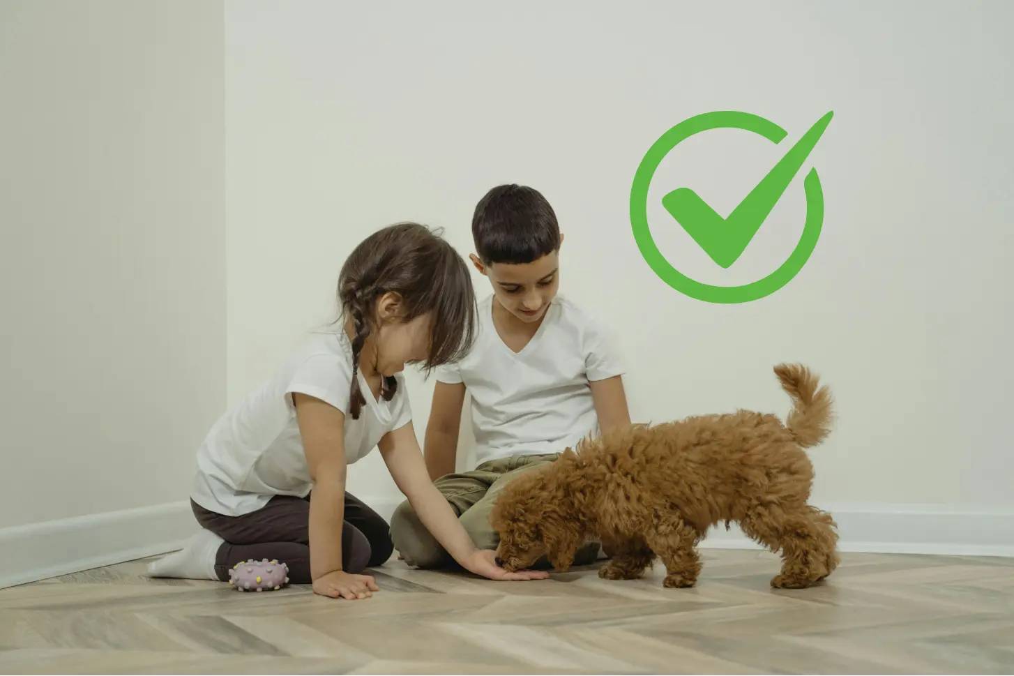 Cani e bambini: convivenza sicura