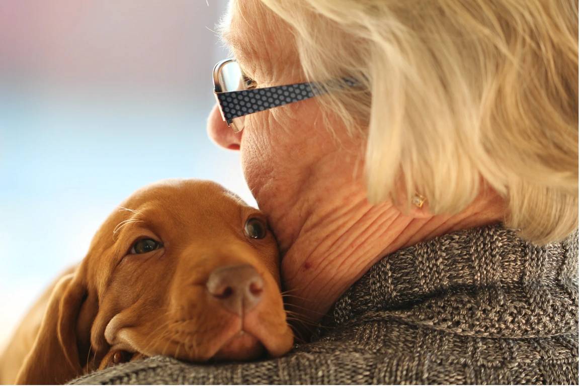 Cani ideali per gli anziani