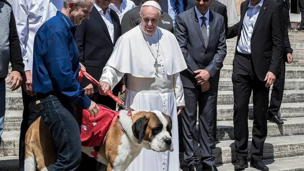 Papa Francesco e i cani: fede, affetto e polemiche