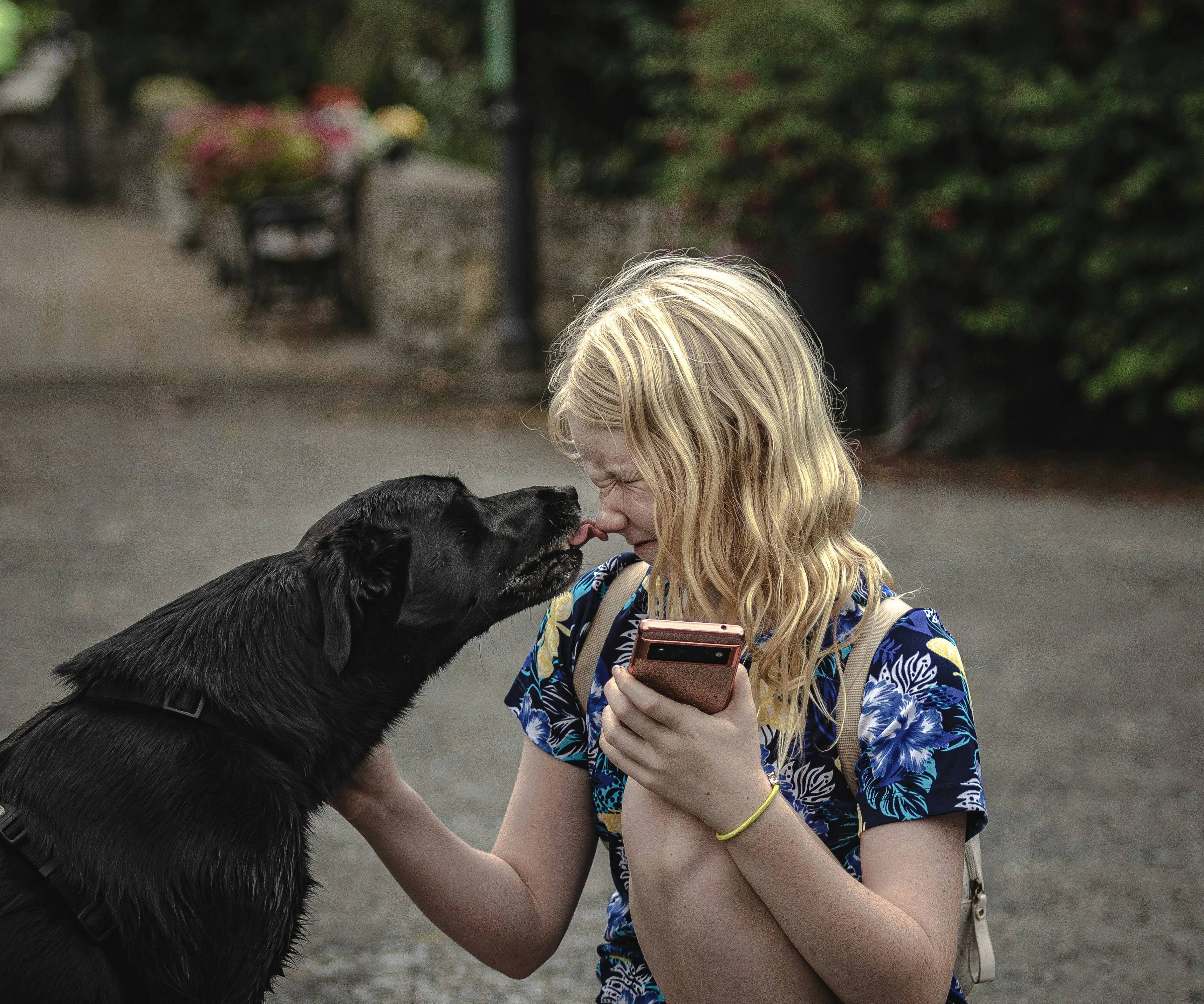 Quale cane è più adatto ai bambini? Guida completa per famiglie