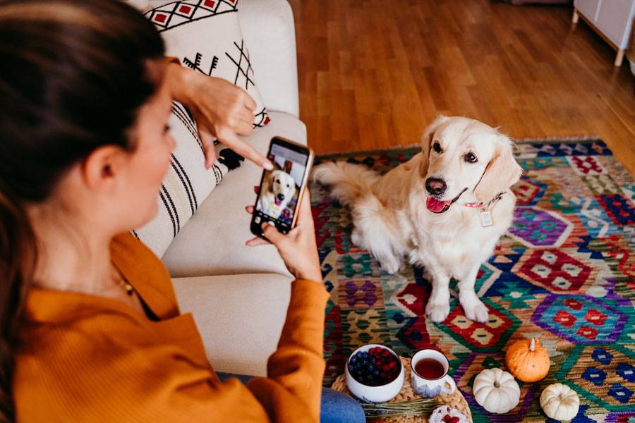 Come Preparare il Tuo Cane per le Foto di Natale