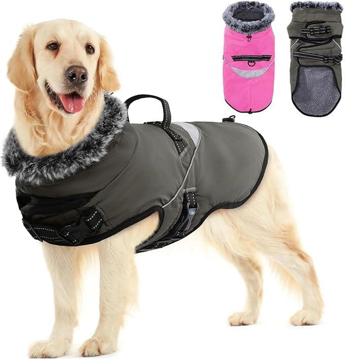 Cappottino termico per cane, perfetto per le passeggiate invernali con stile.