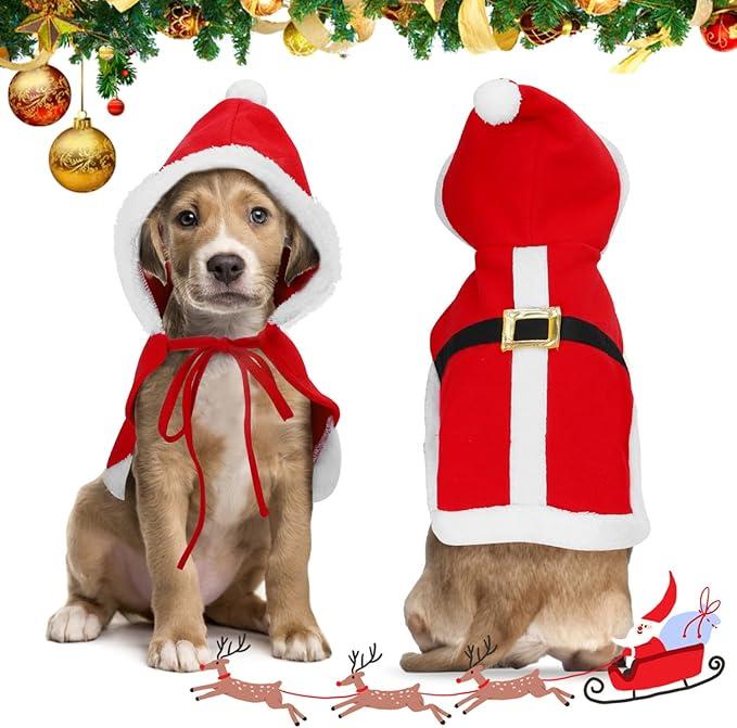 Cappellino di Babbo Natale per cani, un dettaglio indispensabile per le foto natalizie col tuo cane!