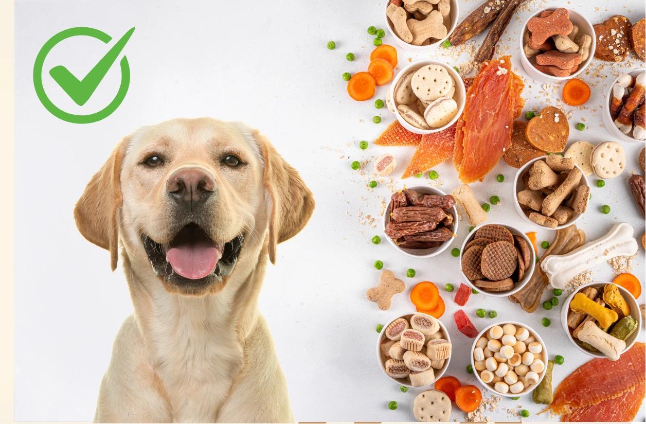 Snack sicuri per il tuo cane