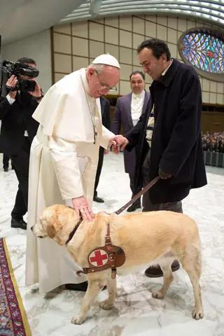 Papa Francesco e un cane