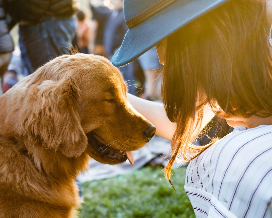 Cani e umani insieme
