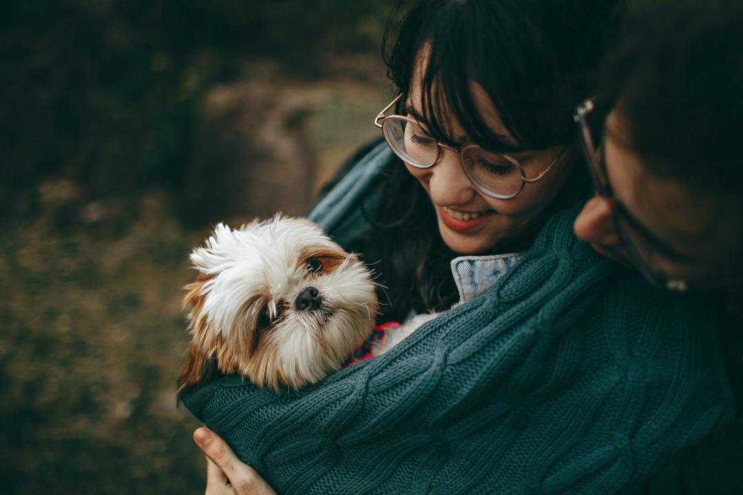 Un cane felice con la sua famiglia