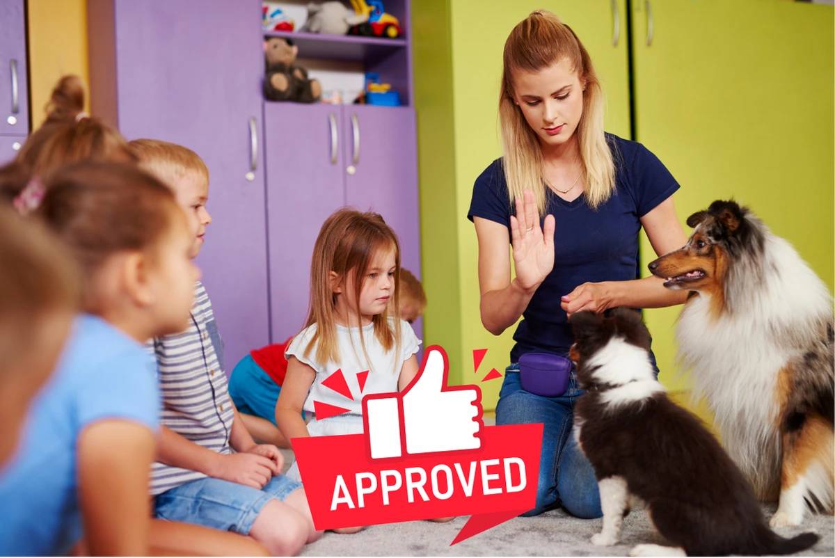 I benefici della pet therapy con i cani